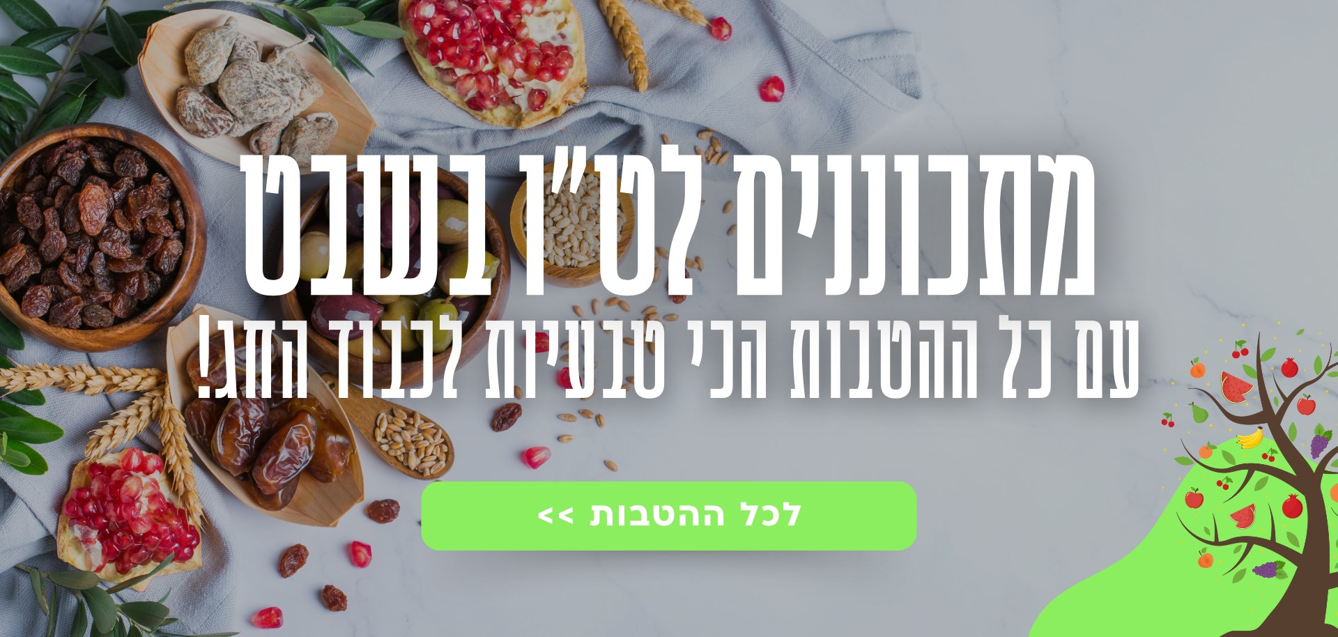 מתכוננים לט''ו בשבט!